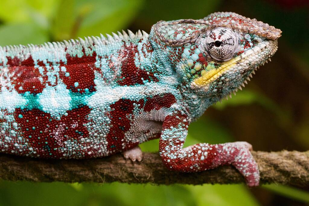 Intelligenza artificiale e nuovi orizzonti dell'intrattenimento: tecnologie, contenuti e esperienze immersive